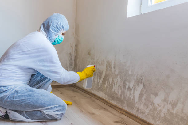 Licensed Mold Testing service in Gibbstown, NJ - WQB Mold Removal