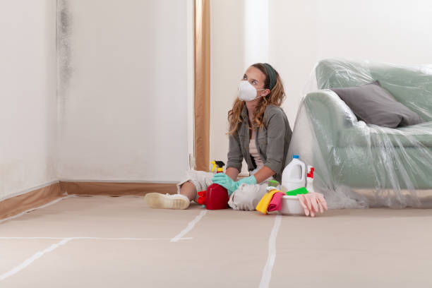 Reliable Mold Testing contractor in Gibbstown, NJ by WQB Mold Removal
